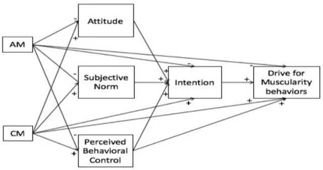 Figure 2. Hypothetical application of Hagger and Chatzisarantis’s (2009) (3) TCM to DM in male 