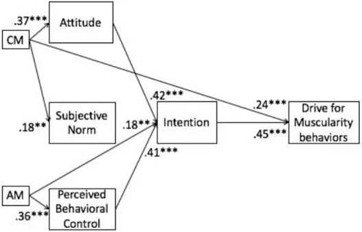 Figure 3. Final path analysis of the TCM applied to DM among male bodybuilders.  