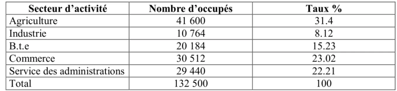 Tableau 7 : Structure de l’emploi (situation Juin 1998) Source : DEFP de la wilaya de Relizane 