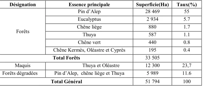 Tableau 19 : Consistance du patrimoine forestier dans la wilaya de Relizane 