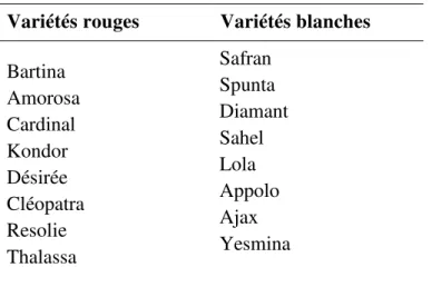 Tableau  1.  Les  principales  variétés  de  pomme  de  terre  cultivées  en  Algérie  (DSA-  Mostaganem, 2017)