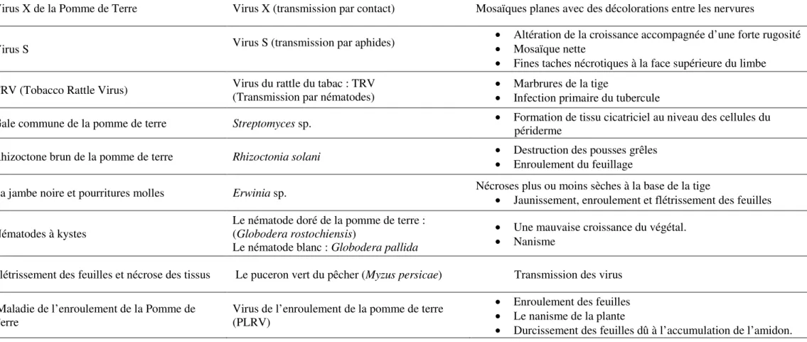 Tableau 4 : Principales maladies de la pomme de terre (Rousselle, 2014). 