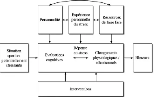 Figure  6.  Version  révisée  du  Stress  Injury  Model.  Adapté  d’après  William  et  Andersen (1998)