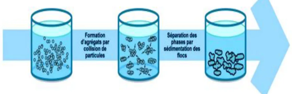 Figure I. 1 : Coagulation floculation. [5] 