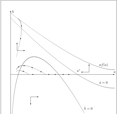 Figure 3a: Possible trajectories when there is no interior steady-state