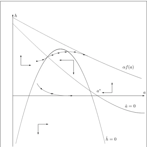 Figure 3b: Possible trajectories when there are two interior steady-states