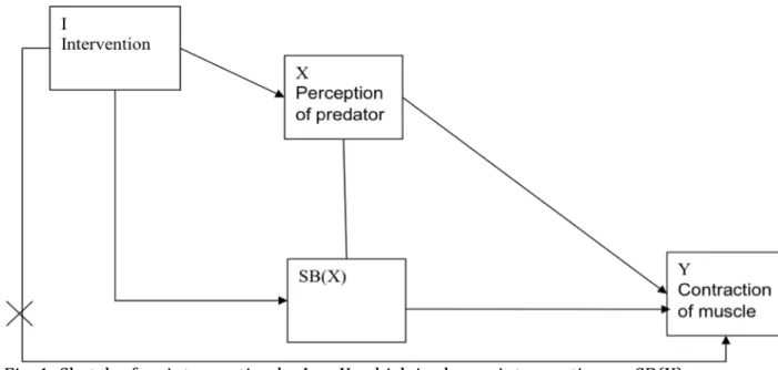 Fig.   1:   Sketch   of   an   intervention   by   I   on   X,   which   is   also   an   intervention   on   SB(X)