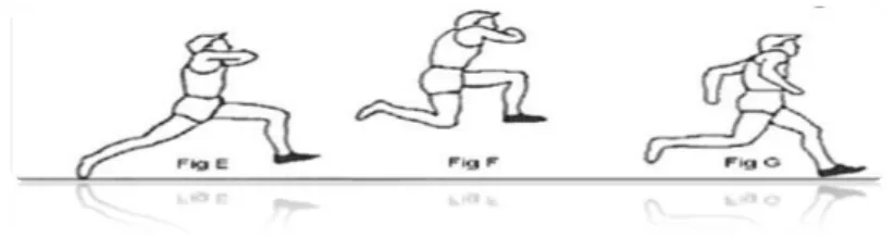 Figure N o  02: Test 10 partridges to both men from running