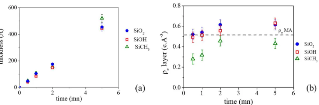 Figure 6. Evolutions of the thickness (a) and electron density ρ e  (b) of the MAPP coatings as  the function of the exposure time on the different model substrates