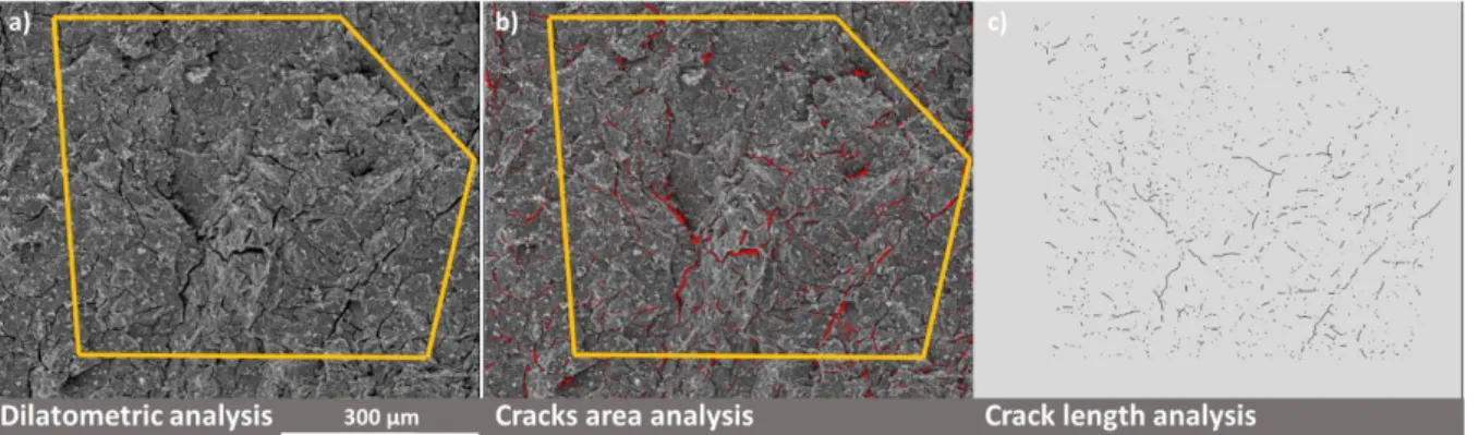 Figure 1 Image analysis on SE images of UC fragment oxidised at 723 K in a 10 Pa O 2  atmosphere: the tracked  area chosen for the dilatometric analysis and crack propagation is highlighted in yellow in a) and b)