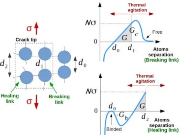FIG. 1. (Left): simplified atomic view of the breaking/healing site at the crack tip. (Top right): Generic tip stress σ  nor-malised by the stress shielding factor N versus atom  separa-tion for the active breaking link