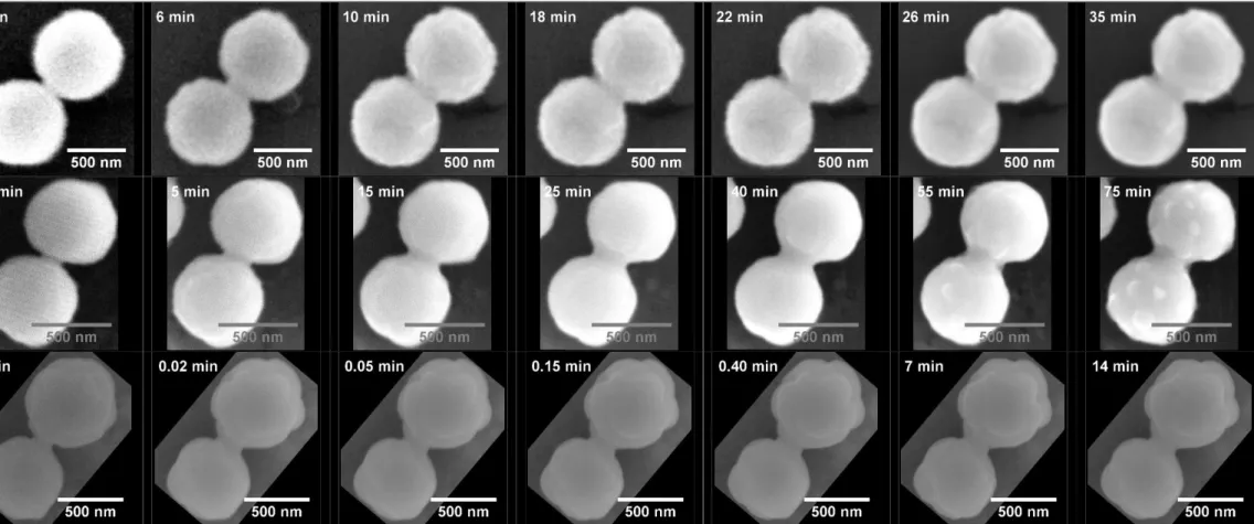 Figure 4.   HT-ESEM images recorded in situ during heat treatment at 1000°C of uranium oxide microspheres under the various atmospheres studied