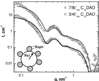 Figure 5. SANS profiles I(q) for silica I with adsorbed C 12 DAO (surface concentrations ⅞Γ mx and ¾Γ mx ) and fits by the micelle-decorated silica model (solid curves) for spherical surface  micelles of radius 2 nm (parameters see Table 5)