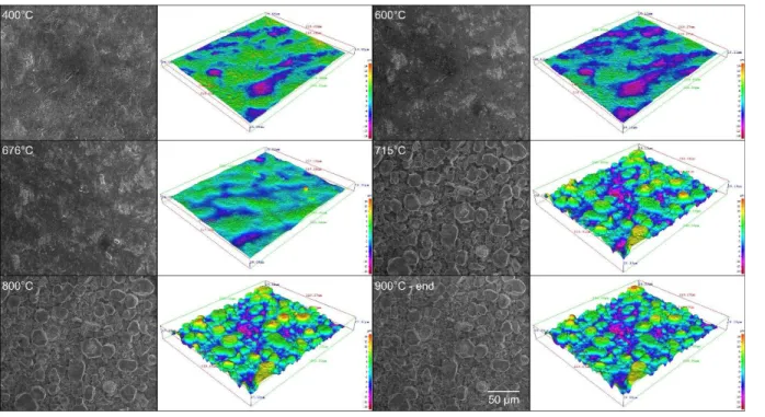 Figure 2. 2D and corresponding 3D reconstructions of the sample surface recorded in situ at high  temperature 