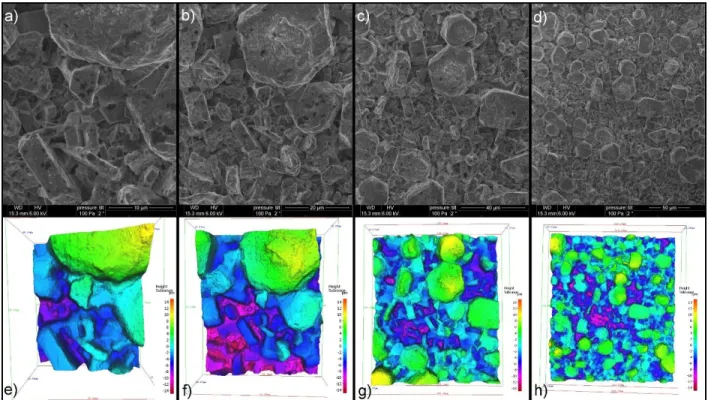 Figure 4. (a-d) High temperature (T=900°C) ESEM images (tilt angle =0°) and (e-h) corresponding 3D  reconstructions recorded at different magnifications