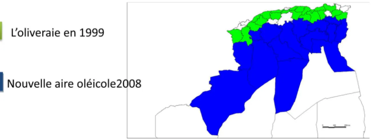 Figure 02 : Répartition de la culture de l’olivier en Algérie (ITAF 2008)  1.6.  Localisation géographique et superficie mondiale  de la culture de l’olivier 