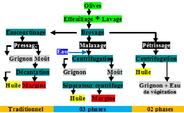Fig. 09. Systèmes d’extraction de l’huile d’olive (Hammadi, 2006)  10. Les différents types de l’huile d’olive 