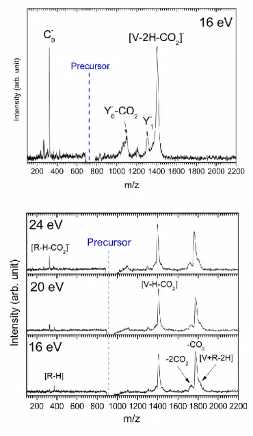 Figure  6.  Mass  spectra  of  [V-2H] 2-   (top)  and  [V+R-2H] 2-   (bottom)  after  absorption  of one VUV  photon