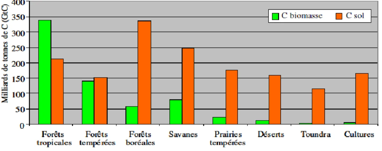 Figure n° 11 : Stocks  de carbone  dans les biomes terrestres. Le stockage total du carbone  dans la biomassereprésente 654 GtC et 1567 GtC dans le sol, à 1 m de profondeur [68]