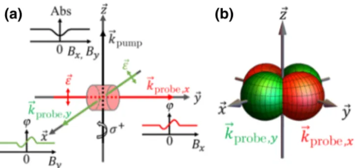 FIG. 1. (a) A dual-axis Hanle-eﬀect magnetometer based on oriented spins and using two probes