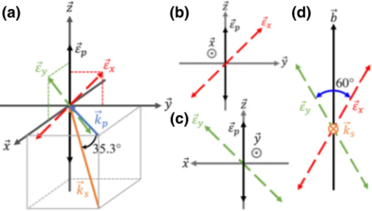 FIG. 3. Polarization directions in the dual-axis magnetometer based on atomic alignment