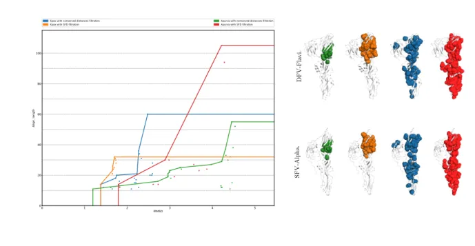 Figure 4.10 Comparison of DFV-Flavi. and SFV-Alpha.: (Left) Point clouds and Pareto envelopes of structural motifs found with each method
