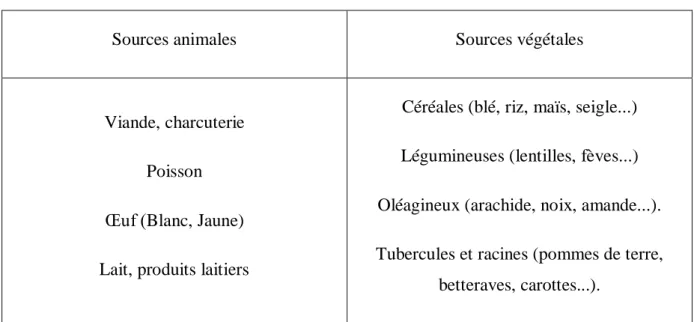 Tableau 01 : les sources de protéines animales et végétales (Chevallier, 2003). 