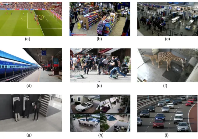 Figure 1.1: Illustration of some areas monitored by surveillance cameras. (a) stadium, (b) supermarket, (c) airport, (d) railway station, (e) street, (f) zoo, (g) ATM corner, (h) home, (i) highway.