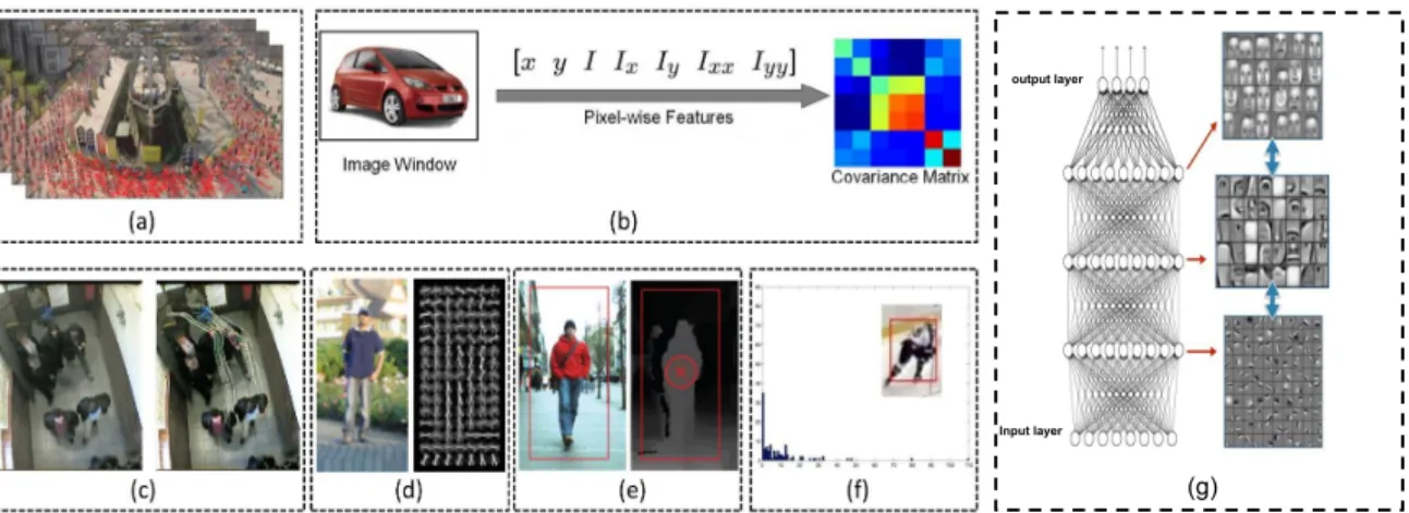 Figure 2.2: Different kinds of features have been designed in MOT. (a) Optical flow, (b) Covariance matrix, (c) Point features, (d) Gradient based features, (e) Depth features, (f) Color histogram, (g) Deep features.