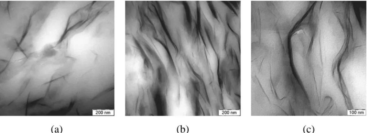 Figure 4. TEM of DNR nanocomposites containing (a) 6% and (b) 20% clay. The magnified  image (c) shows co-existence of single clay platelets, partial exfoliates and tactoids