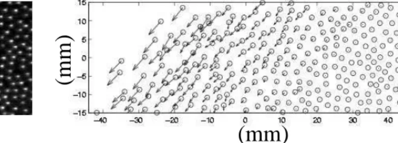FIG. 3. Bonamy, Phys. Fluids