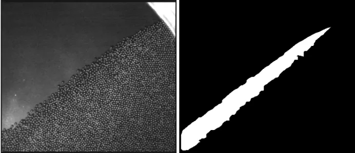 FIG. 7. Bonamy, Phys. Fluids