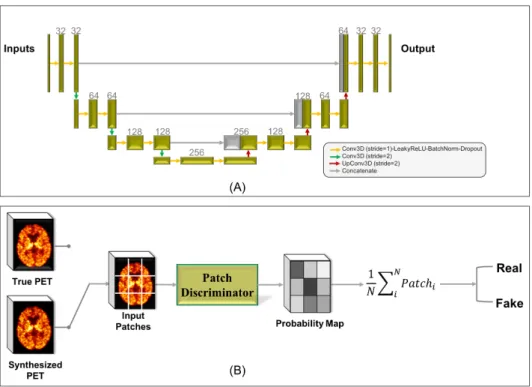 Fig. 3.3: Architectures proposed for the generator (panel A) and for the discrimi- discrimi-nator (panel B) in our GANs