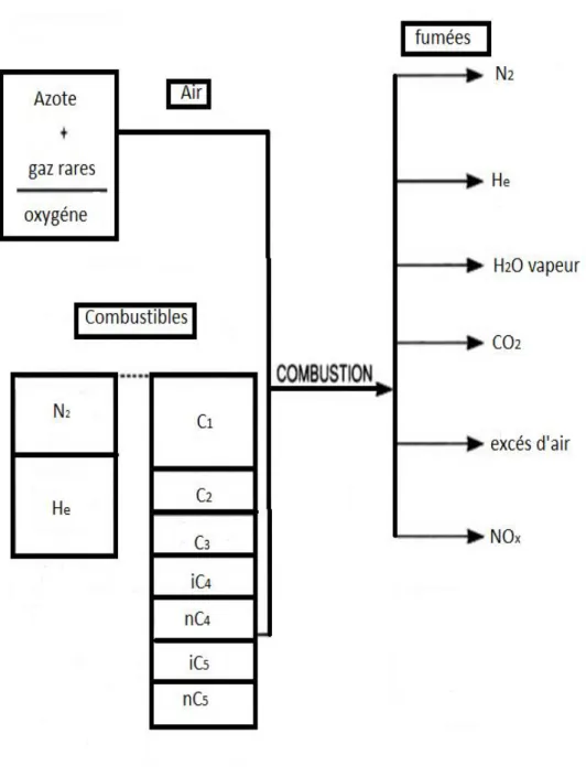 Figure 09 : Schéma de bilan de matière