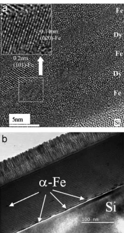 Fig. 4. Electron diffraction patterns obtained on (Fe 3 nm/Dy 2 nm) multilayers deposited at 320 K (a) and 570 K (b).