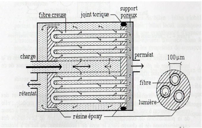 Figure 4 : Module à fibres creuses