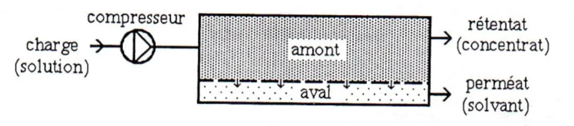 Figure 5 : Principe de l’osmose inverse