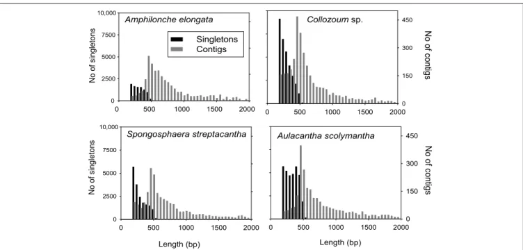 FIGURE 1 | Distribution of contig and singleton lengths for A. elongata, Collozoum sp., S