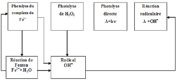 Figure II.14. Schéma des réactions chimiques lors la réaction de Photo-Fenton .  [82]