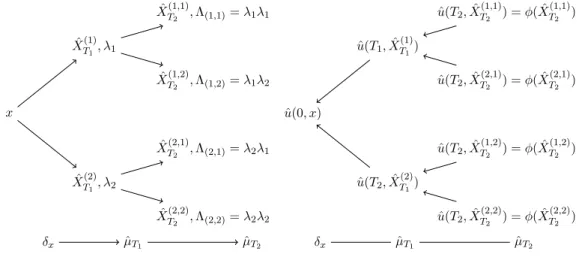 Figure 1 right illustrates the idea behind the backward approximation: the approximated function ˆ u is defined first at the leaves of the constructed tree, and then back-propagates using the approximated law to obtain ˆu at previous times