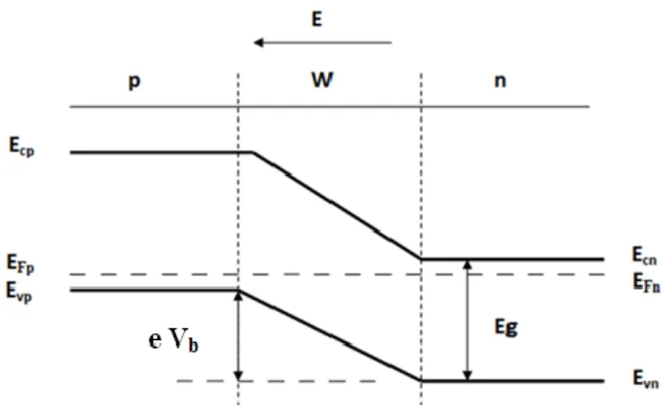 Figure 1.7 - Formation d’une jonction p-n. 