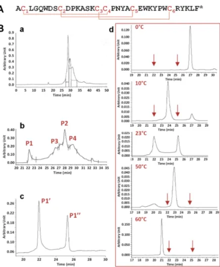 Figure 1. Primary structure, chemical synthesis, and in vitro folding of phlotoxin 1 (PhlTx1)