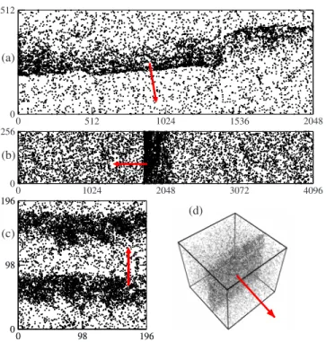 FIG. 11. 共Color online兲 Typical snapshots in the ordered phase.