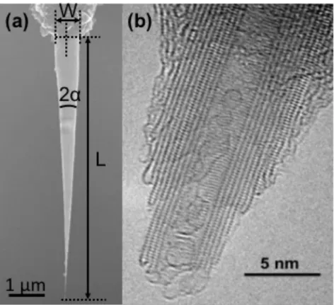 Figure  5.  Main  geometrical  characteristics  of  a  nanocone  tip.  (a)  SEM  image  showing  the  length,  width  and  angle  parameters