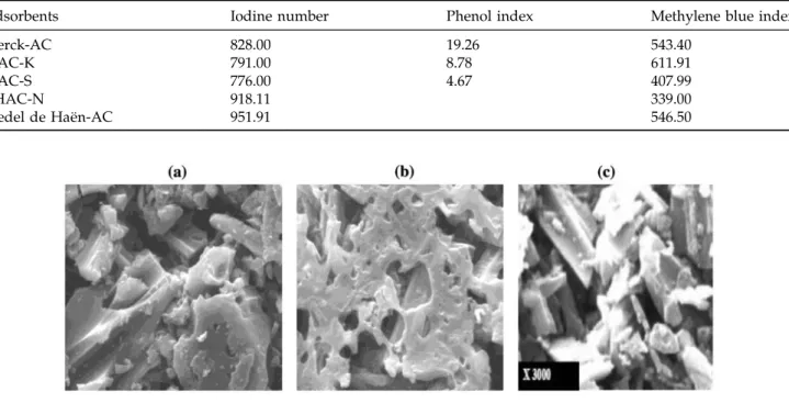 Fig. 1. SEM micrograph of the functionalized samples studied: (a) MAC-S, (b) MAC-K, and (c) RHAC-N.