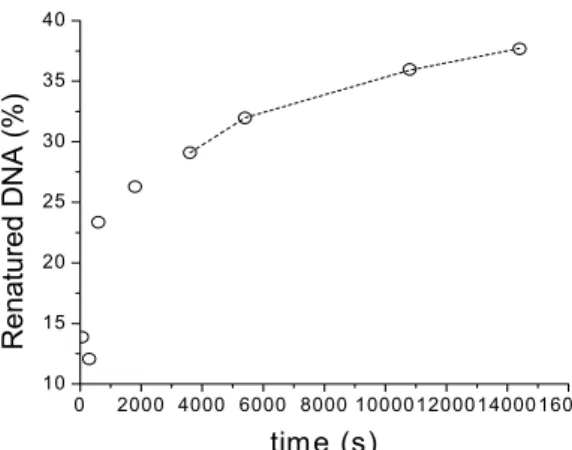 Figure 8a  0 2000 4000 6000 8000 1000012000140001600010152025303540Renatured DNA (%) time (s)