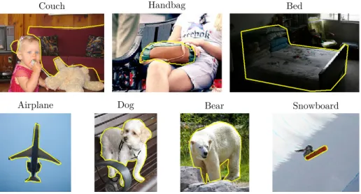 Figure 10: Examples of ground truth segmentations from the COCO dataset representing the 7 selected object categories.
