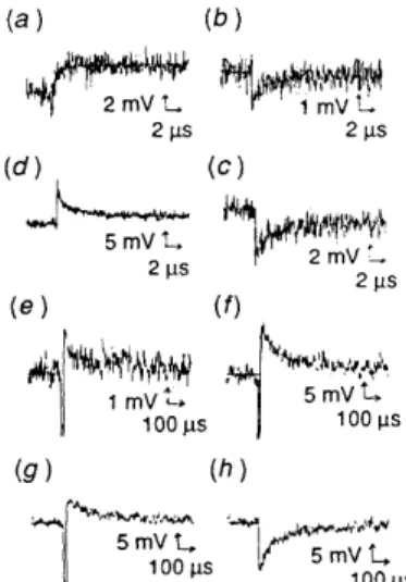 Fig. 8  Nanosecond  differential  spectrum  of  the  excited  ZnP(N +C,,)JA1CIPcTS4-  dimer