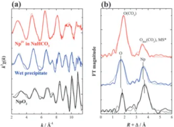 Fig. 2 (a) k 3 -weighted Np L III -edge EXAFS spectra of Np( IV ) in 1 M NaHCO 3 /1 M HNO 3 at pH = 8.6 (red), a wet precipitate obtained by the dilution of the Np( IV ) NaHCO 3 –HNO 3 solution with ultrapure water (blue) and the reference NpO 2 powder (bl