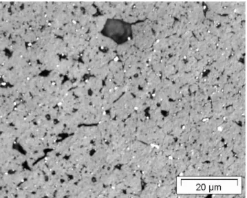 Figure 20.  Optical  microscopy  after  chemical etching of the 83 GWd/tU sample  at 0R (centre)